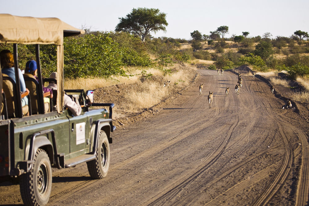 Tuli Safari Lodge Lentswelemoriti Zewnętrze zdjęcie